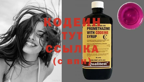 стаф Елабуга