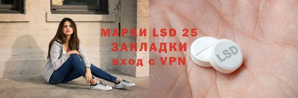 стаф Елабуга