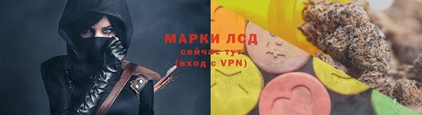 стаф Елабуга