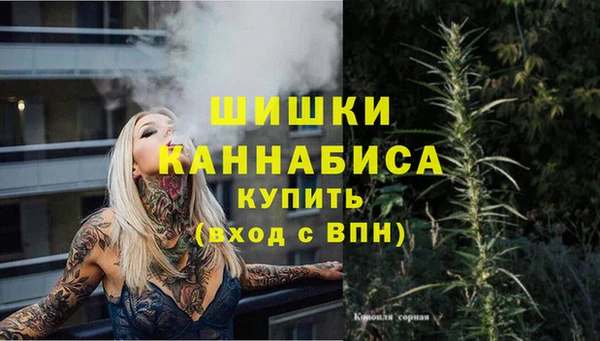 стаф Елабуга