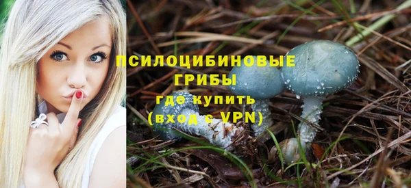 скорость mdpv Елизово