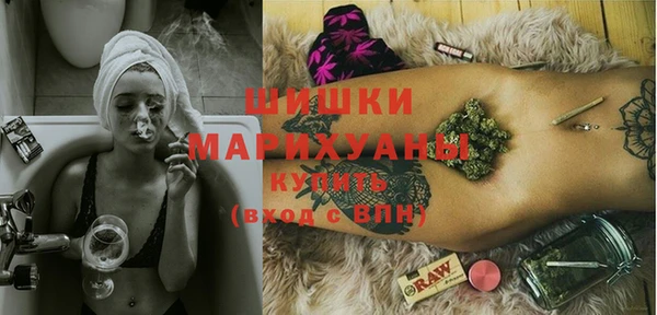 стаф Елабуга