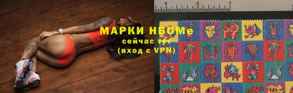 стаф Елабуга